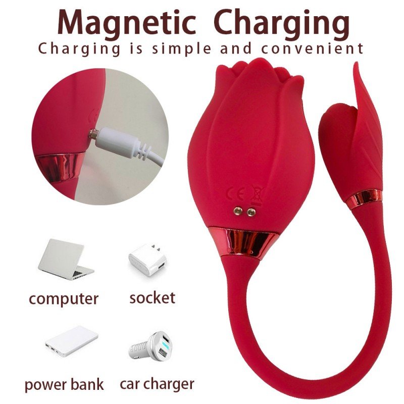 5 Toy couple vibrator female sex toy, sucking vibrator and fluffy push dildo, 10 modes, G-spot clitoral nipple S&M whipper